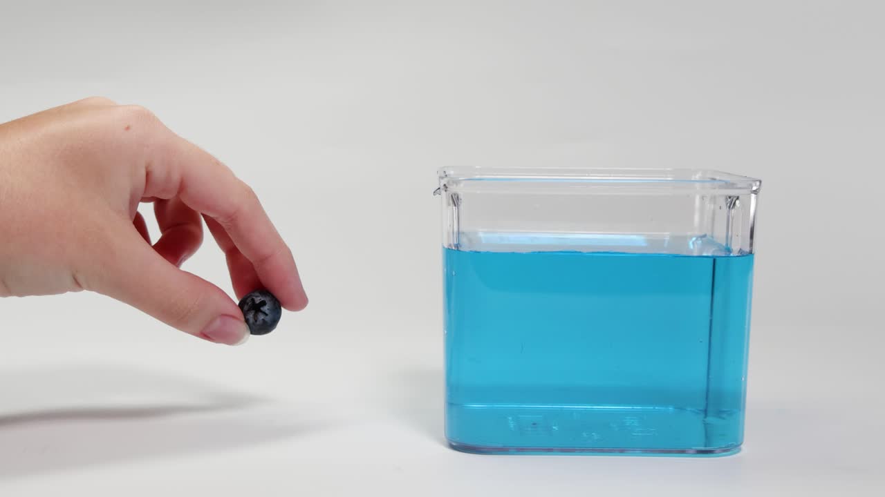 A blueberry is dropped into a clear container of blue liquid, demonstrating buoyancy and density principles in a controlled setting