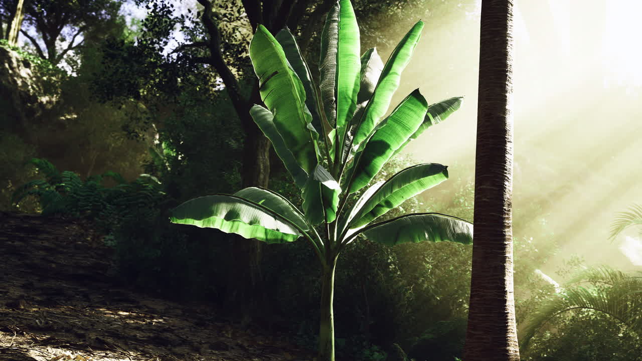 Vibrant green plant thriving in sunlit forest landscape during daytime