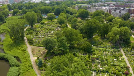 Birds-Eye-View-of-Urban-Community-Garden-in-Boston,-Massachusetts-in-Summer