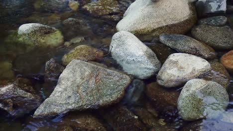 Close-up-of-a-man's-feet-wearing-blue-sportswear-crossing-a-rocky-riverbed