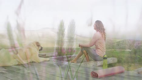Composite video of tall grass against caucasian woman sitting with her dog in the mountains