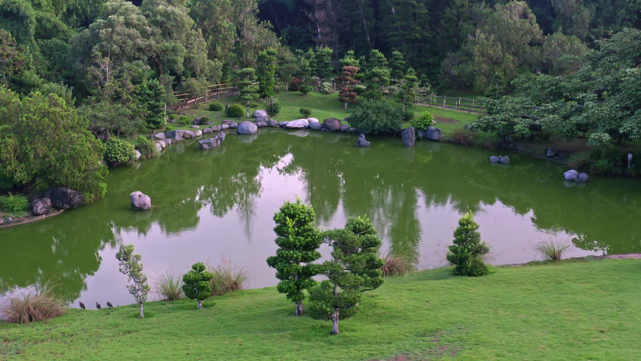 식물원의 물에 반사된 작은 연못과 나무의 조감도