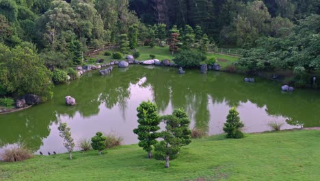 Luftaufnahme-Des-Kleinen-Teiches-Und-Der-Bäume,-Die-Sich-Im-Botanischen-Garten-Auf-Dem-Wasser-Widerspiegeln