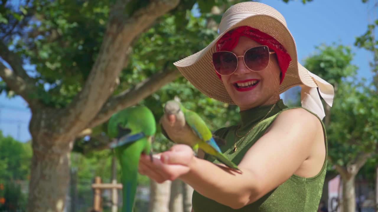 video impresionante de loros comiendo semillas de la mano de una chica caucásica en vestido verde con un sombrero de punto