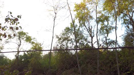 an old crumbling wire fence in a city park needs repair. rust and missing parts. the closed area is not protected. pan left around trees and shrubs.