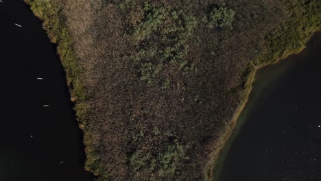 A-top-down-view-directly-above-salt-marsh-grass-and-water