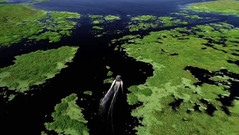 Un-Hidrodeslizador-Se-Mueve-A-Lo-Largo-Del-Río-San-Juan-En-Florida