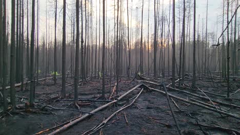 pan shot of a large area devastated in a record wildfire season in the province of quebec