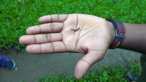 a leech crawls across a man's hand in southern india