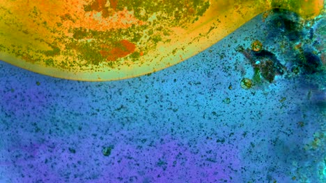 curlicue of paints