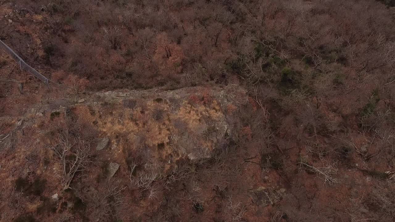 drone sobre el bosque y el lago maggiore, italia