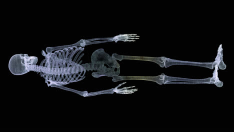 futuristic holographic x-ray tomography scanning patient's skeleton for health evaluation simulation medical examination, and assessment in full rotation loop with alpha channel - medical concept