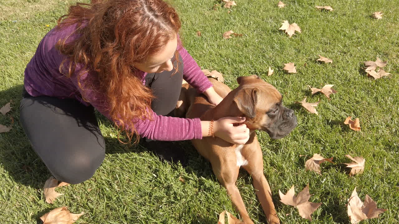 woman stroking her boxer dog in the park