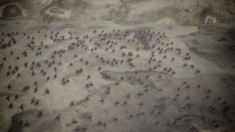 top view on a big ancient army charging in a battlefield