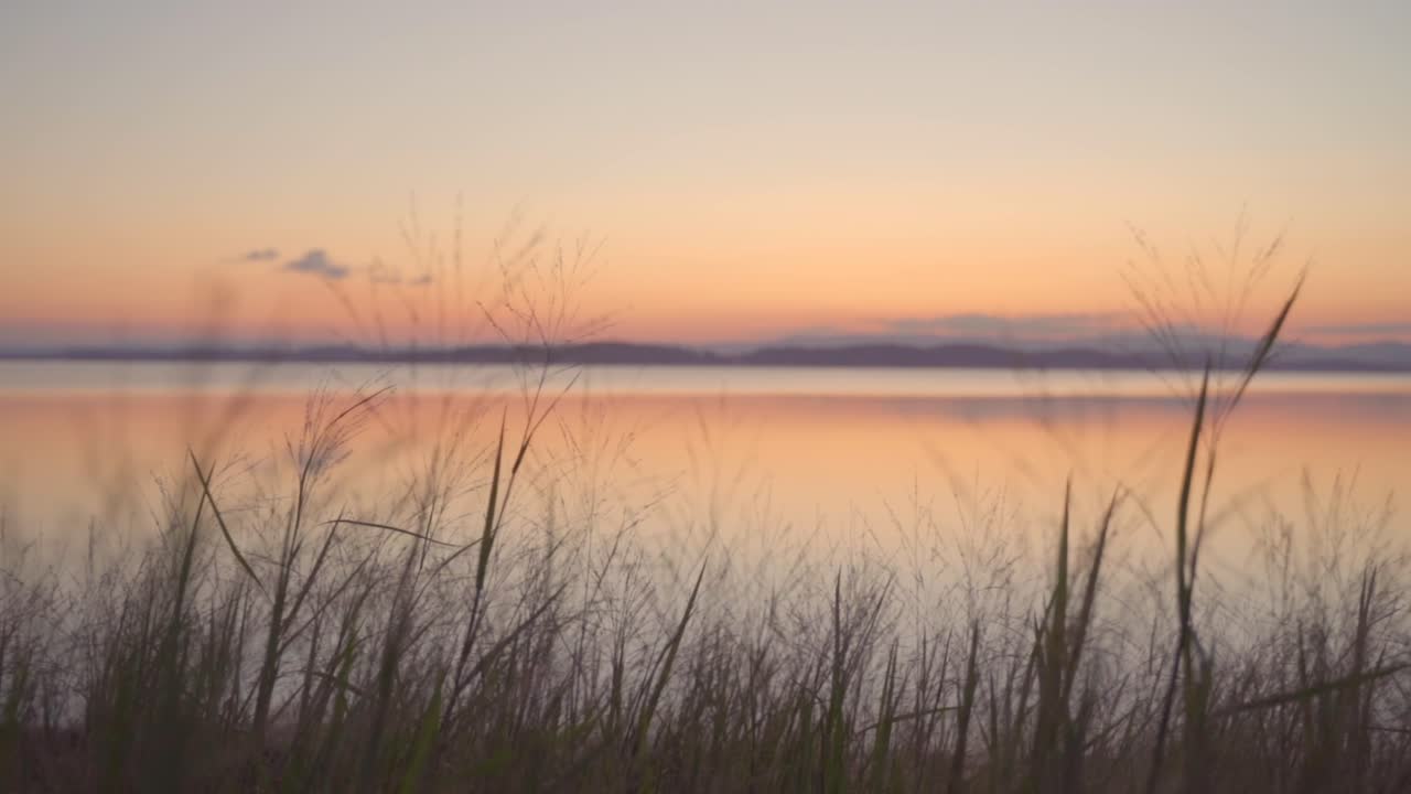 hacer un pequeño zoom en la toma con fondo de tonos pastel