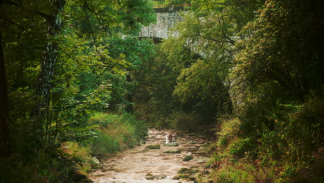a woman splashes herself with crystal clear water from a river in the mountains