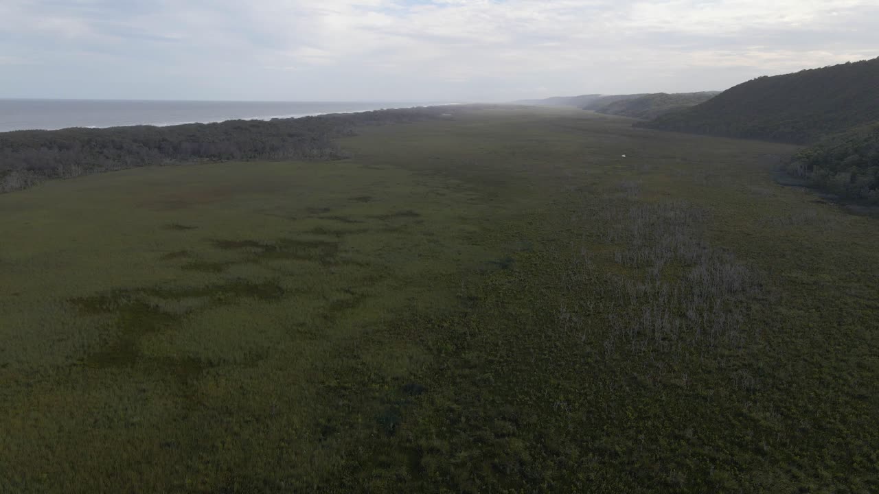 pastizales verdes perfectos junto a las olas de la playa del lago azul en australia -ascenso aéreo