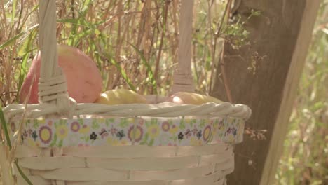 Hand-picking-fruit-from-basket-of-fresh-ripe-red-apples-hanging-in-countryside-rural-background