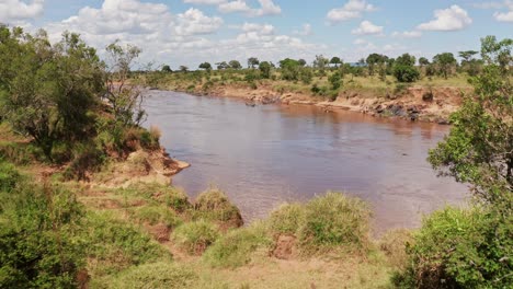 Toma-Aérea-De-La-Vida-Silvestre-Africana-De-Un-Grupo-De-Hipopótamos-En-Las-Orillas-Del-Río-Masai-Mara,-Vista-De-Drones-Del-Hermoso-Paisaje-Verde-Y-Exuberante-De-África-En-La-Reserva-Nacional-De-Masai-Mara,-Kenia,-áfrica