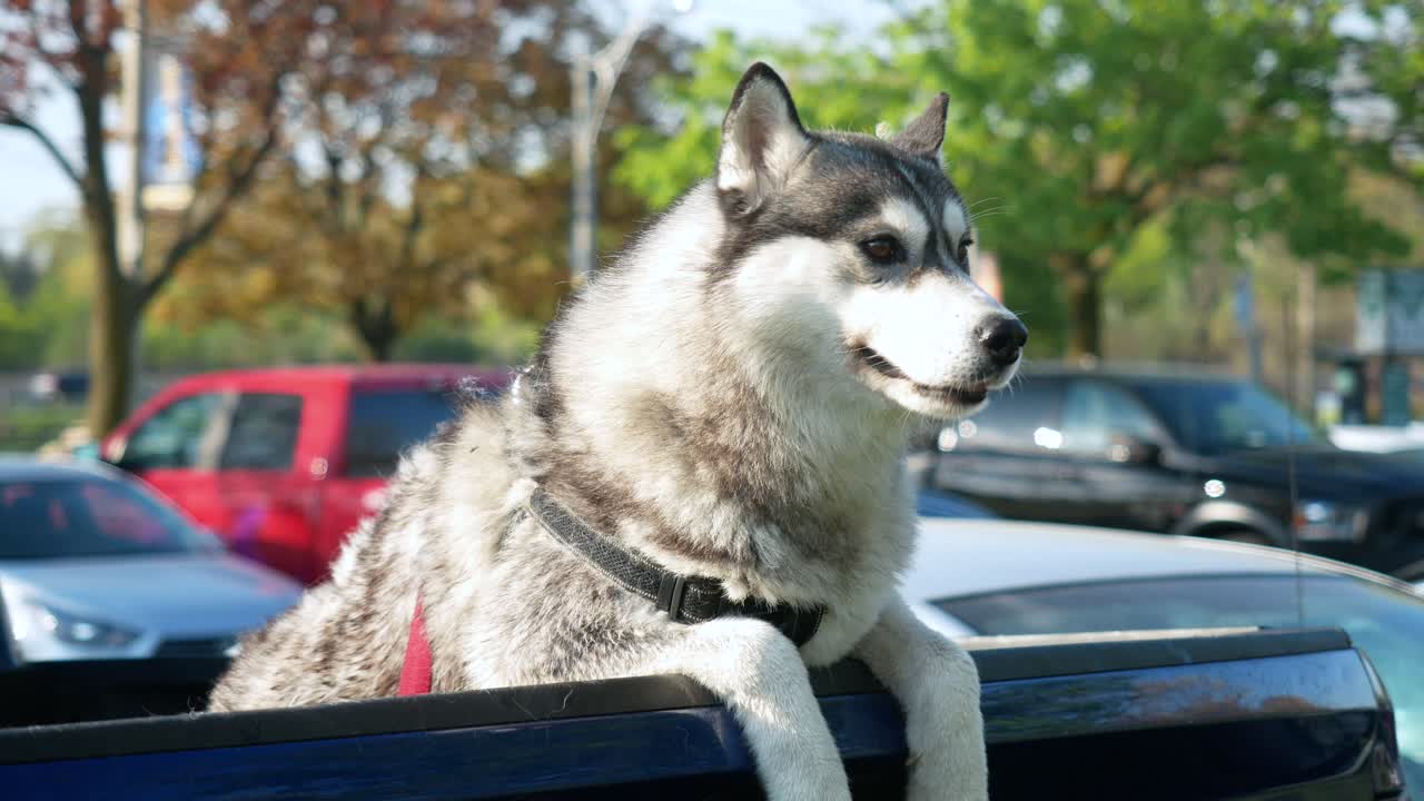 canada lake ontario summer water lakeshore toronto etobicoke water humber