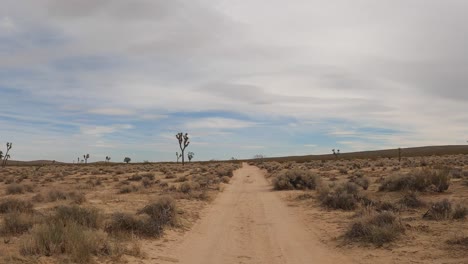 Conduciendo-Por-Un-Camino-Polvoriento-Entre-árboles-De-Joshua-En-El-Desierto-De-Mojave---Punto-De-Vista-Del-Conductor