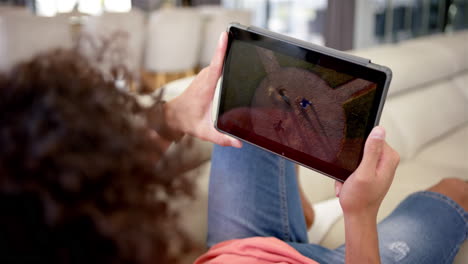 un joven está absorto en la reproducción de béisbol en una tableta, en el sofá de casa