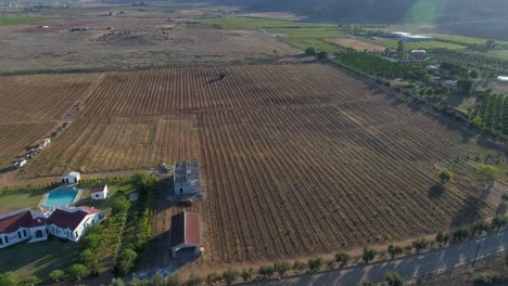 Aerial-shot-of-vineyards-fields-and-a-house-in-Valle-de-Guadalupe