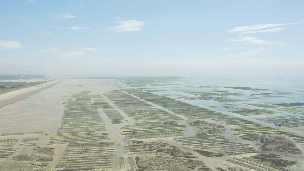 Oyster Farm At The Coast Of Normandy In France