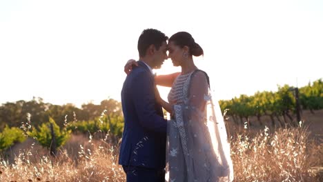 lovely indian groom and bride on their wedding day outdoors - medium shot