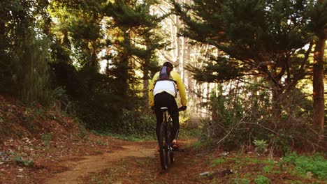 Männlicher-Mountainbiker-Fährt-Im-Wald