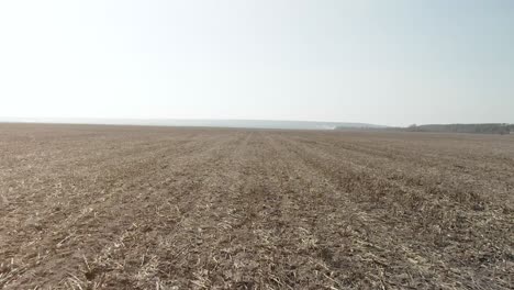 empty farmland