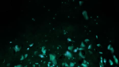 gas de fuego realista con brasas ardientes calientes chispas llamas animación 3d partículas de brillo ardiendo en fondo negro vfx azul azul
