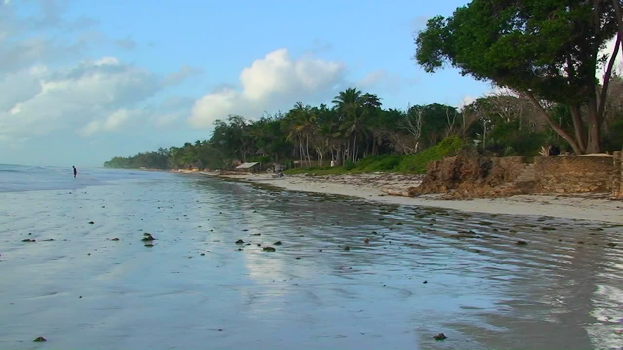 la gente se sienta en la orilla mirando el océano y una persona se aleja