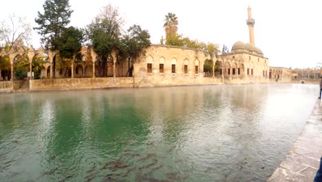 pool of sacred fish where abraham was thrown into the fire by nimrod