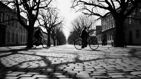 black and white bicycle ride on a cobblestone street