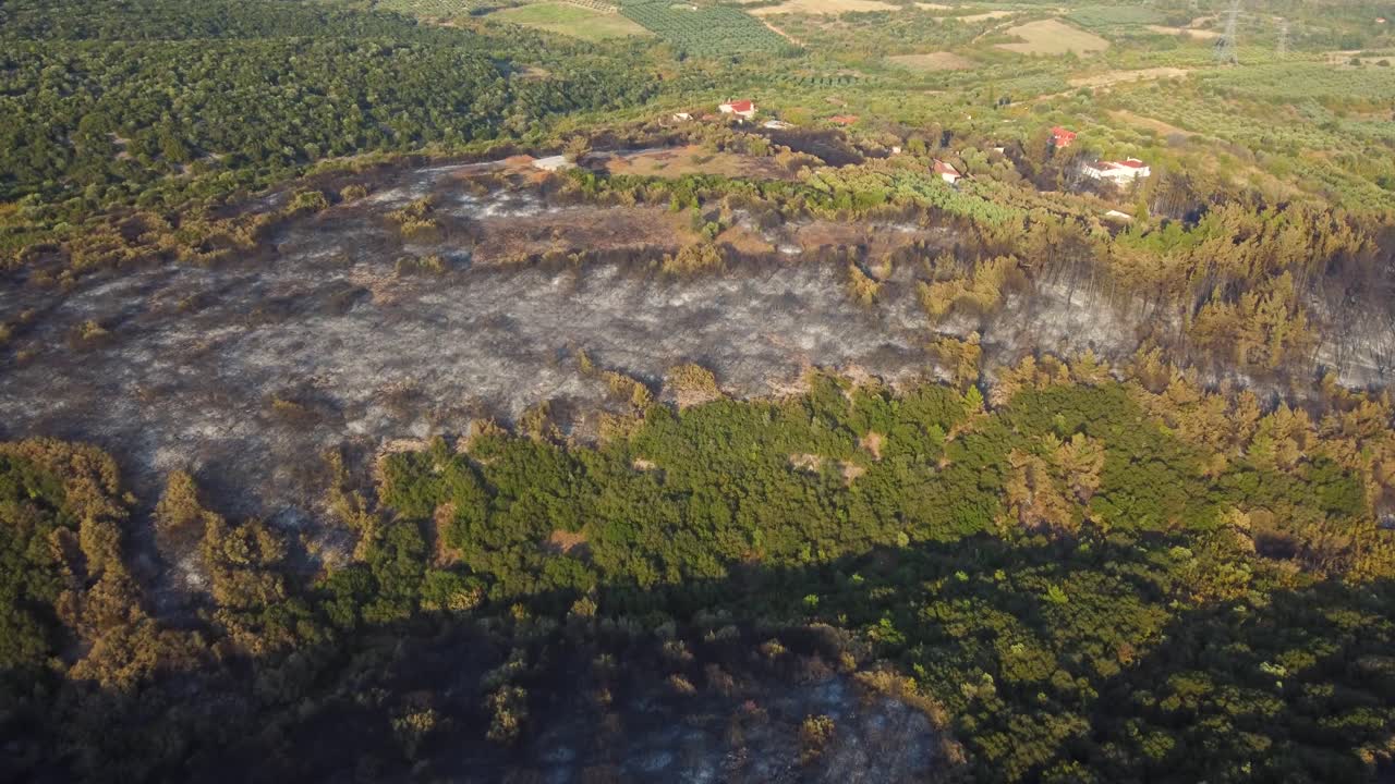 descenso aéreo sobre el bosque quemado que fue destruido por incendios forestales en el norte de grecia, agosto de 2023