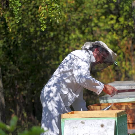 apiarist near hives. male beekeeper in white protective uniform and hat looks after bees on the background of many beehives in the forest