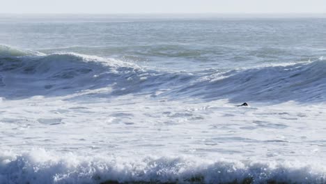 surfers surfing in sea