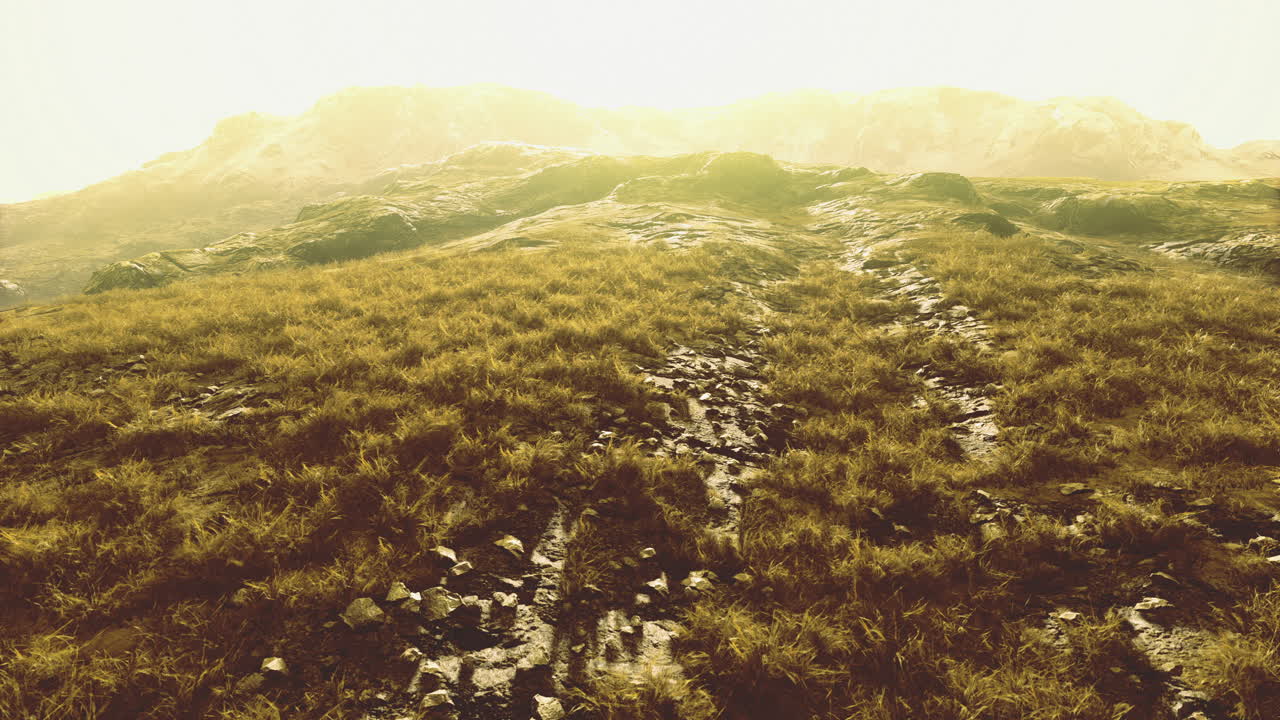 Golden sunlight blankets the rugged landscape with grass and stones at dawn