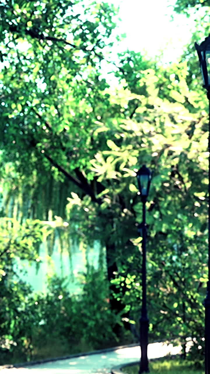 평화로운 공원 산책로