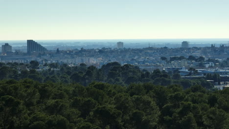 vista aérea de montpellier con un primer plano exuberante y el horizonte de la ciudad.