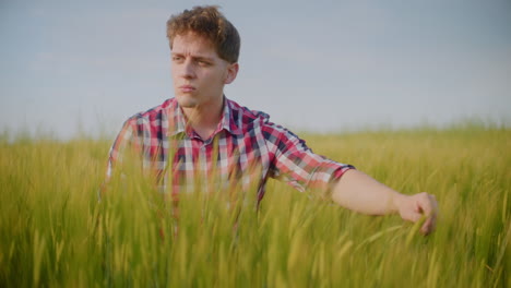 man inspecting wheat field