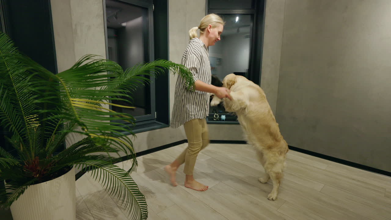 mujer jugando con su perro golden retriever en casa
