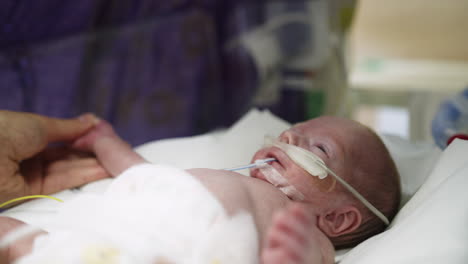 mother holding newborn's hand in hospital