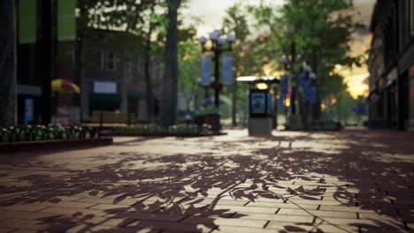 quiet-city-park-with-trees-and-benches