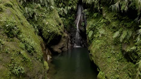the gorgeous scenery of glorious trees and waterfalls in taiwan - wide shot