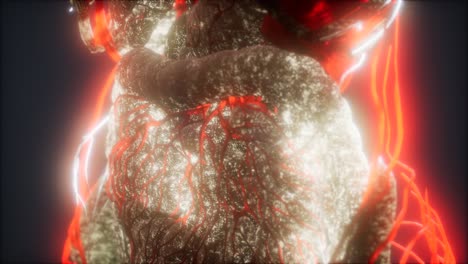 animación médicamente precisa en 3d del corazón y los vasos sanguíneos