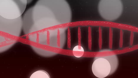 Animation-of-spots-and-shapes-over-dna-strand