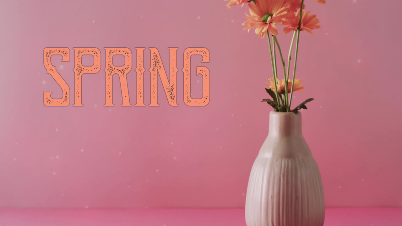 animación de texto de primavera y estrellas sobre un ramo de flores