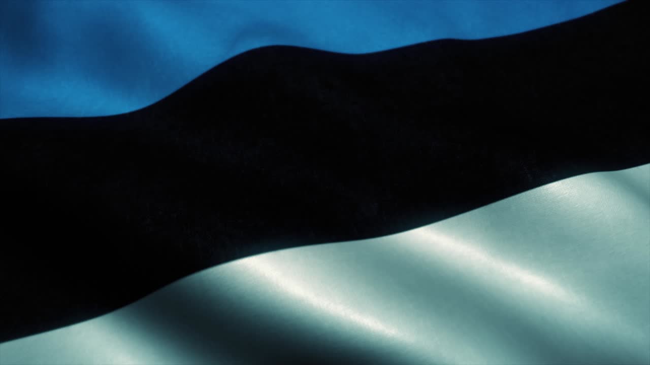 에스토니아의 국기, 바람에 흔들리는 에스토니아 발, 에스토니아 표지판, 이 없는 루프 애니메이션